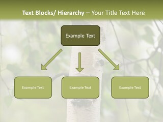 Flora Fragment Verdure PowerPoint Template