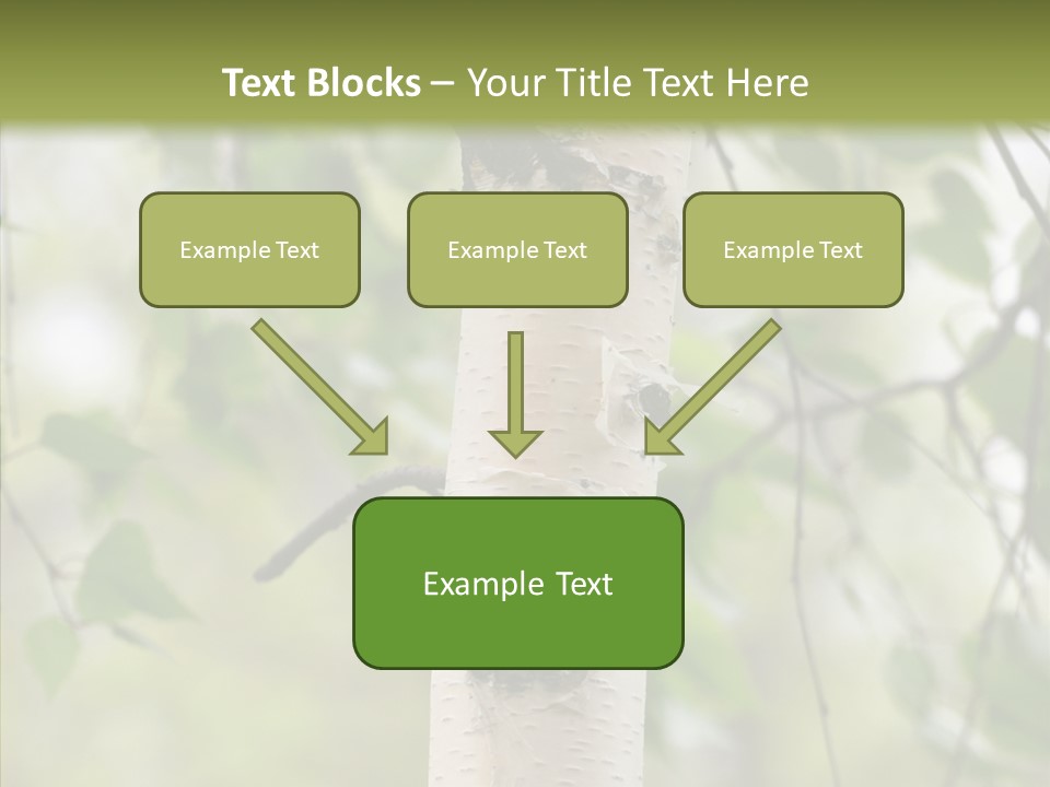 Flora Fragment Verdure PowerPoint Template