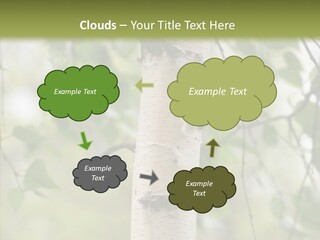 Flora Fragment Verdure PowerPoint Template