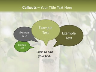 Flora Fragment Verdure PowerPoint Template