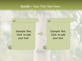 Flora Fragment Verdure PowerPoint Template
