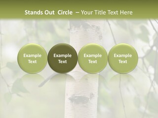 Flora Fragment Verdure PowerPoint Template