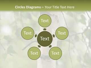 Flora Fragment Verdure PowerPoint Template