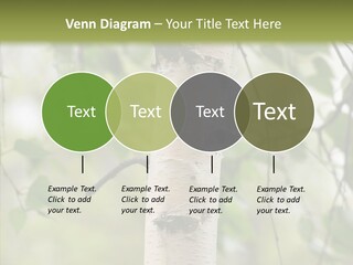 Flora Fragment Verdure PowerPoint Template