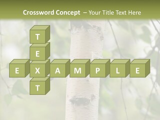 Flora Fragment Verdure PowerPoint Template