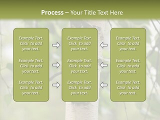 Flora Fragment Verdure PowerPoint Template
