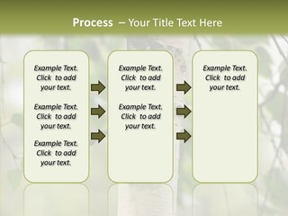 Flora Fragment Verdure PowerPoint Template