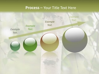 Flora Fragment Verdure PowerPoint Template