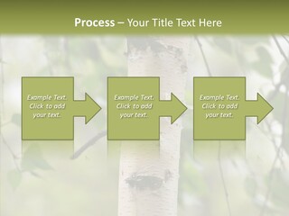 Flora Fragment Verdure PowerPoint Template