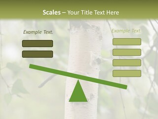 Flora Fragment Verdure PowerPoint Template