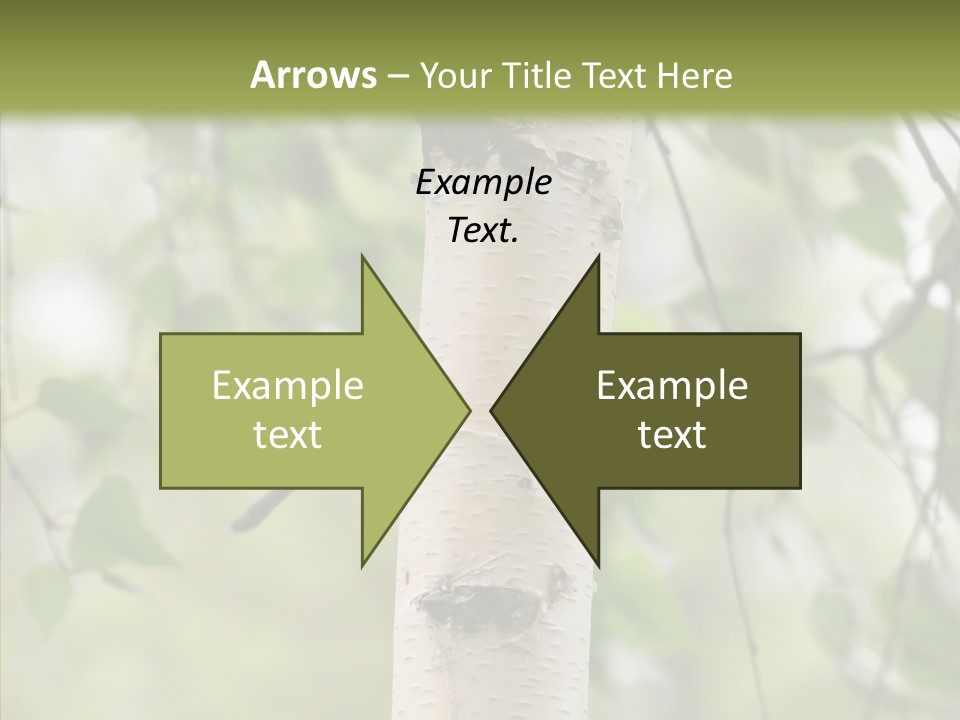 Flora Fragment Verdure PowerPoint Template