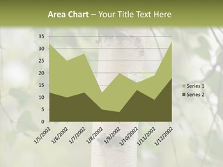 Flora Fragment Verdure PowerPoint Template