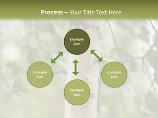 Flora Fragment Verdure PowerPoint Template