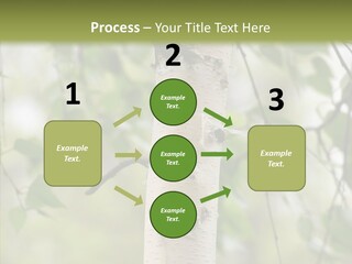 Flora Fragment Verdure PowerPoint Template