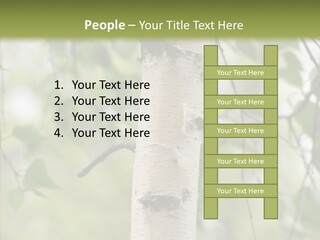 Flora Fragment Verdure PowerPoint Template