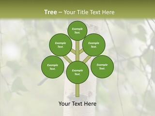 Flora Fragment Verdure PowerPoint Template