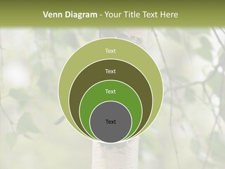 Flora Fragment Verdure PowerPoint Template