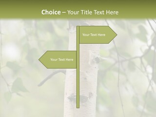 Flora Fragment Verdure PowerPoint Template