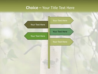 Flora Fragment Verdure PowerPoint Template