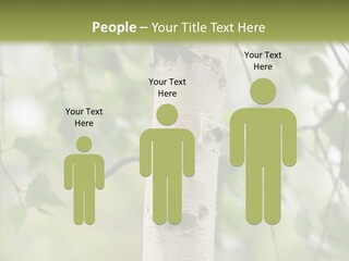 Flora Fragment Verdure PowerPoint Template