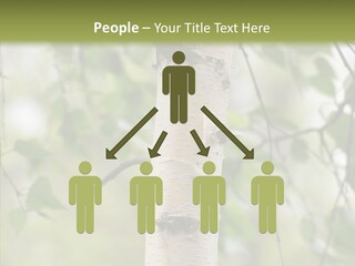 Flora Fragment Verdure PowerPoint Template