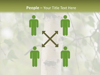 Flora Fragment Verdure PowerPoint Template