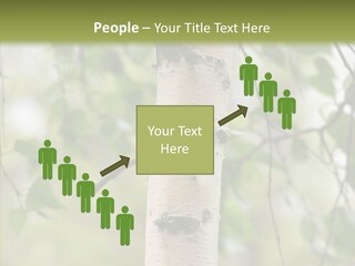 Flora Fragment Verdure PowerPoint Template