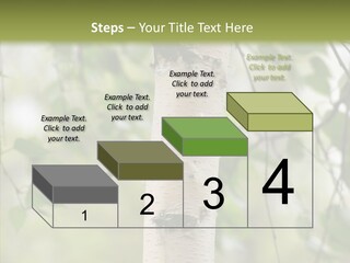 Flora Fragment Verdure PowerPoint Template