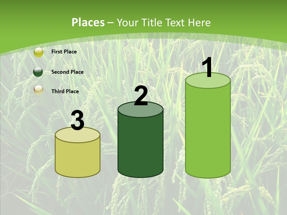 Leaf Primary Lush PowerPoint Template