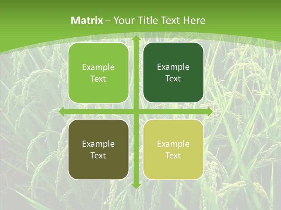 Leaf Primary Lush PowerPoint Template