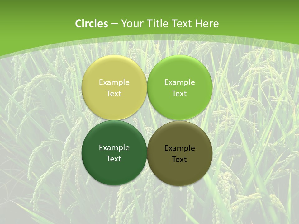 Leaf Primary Lush PowerPoint Template