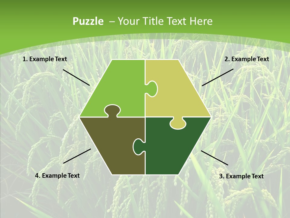 Leaf Primary Lush PowerPoint Template