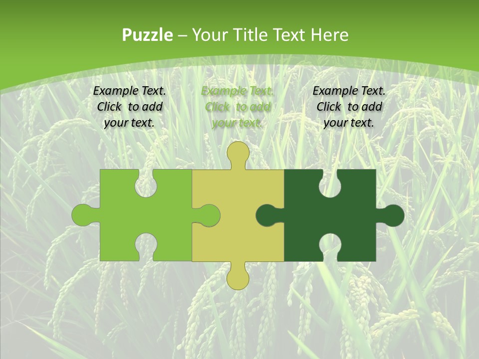 Leaf Primary Lush PowerPoint Template