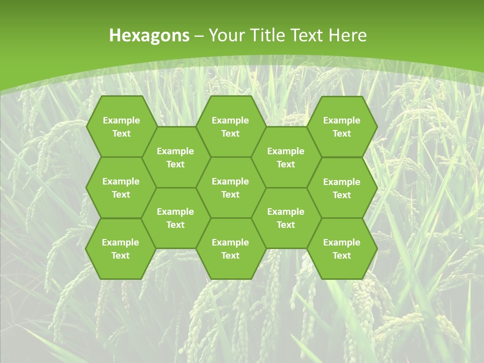 Leaf Primary Lush PowerPoint Template