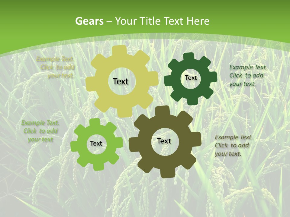 Leaf Primary Lush PowerPoint Template