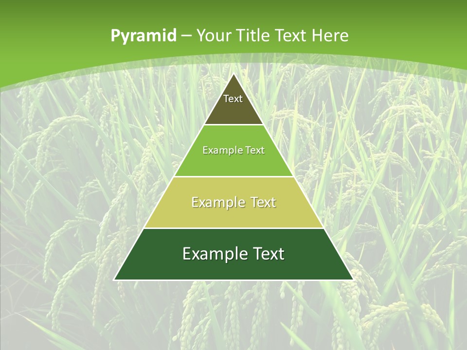 Leaf Primary Lush PowerPoint Template