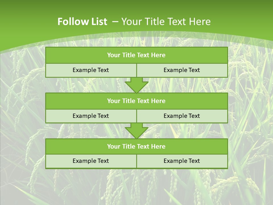 Leaf Primary Lush PowerPoint Template