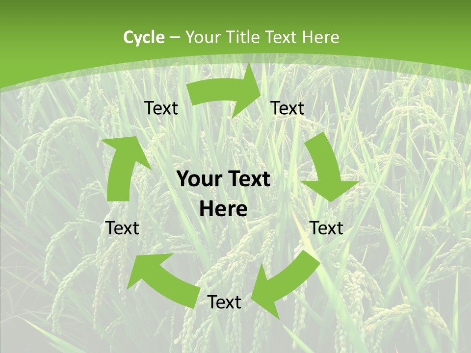 Leaf Primary Lush PowerPoint Template