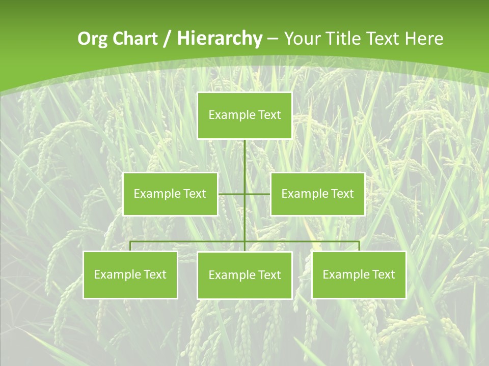 Leaf Primary Lush PowerPoint Template
