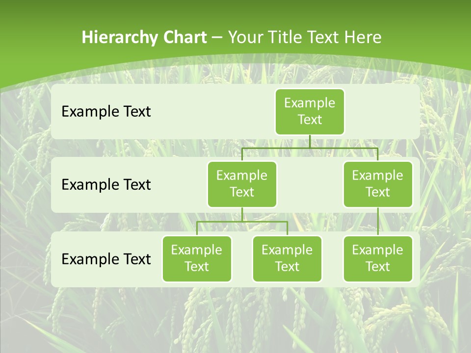 Leaf Primary Lush PowerPoint Template