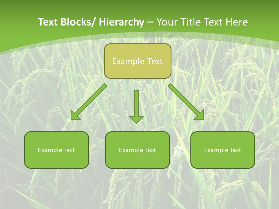 Leaf Primary Lush PowerPoint Template