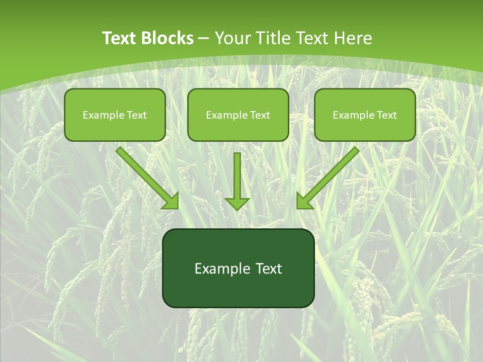 Leaf Primary Lush PowerPoint Template