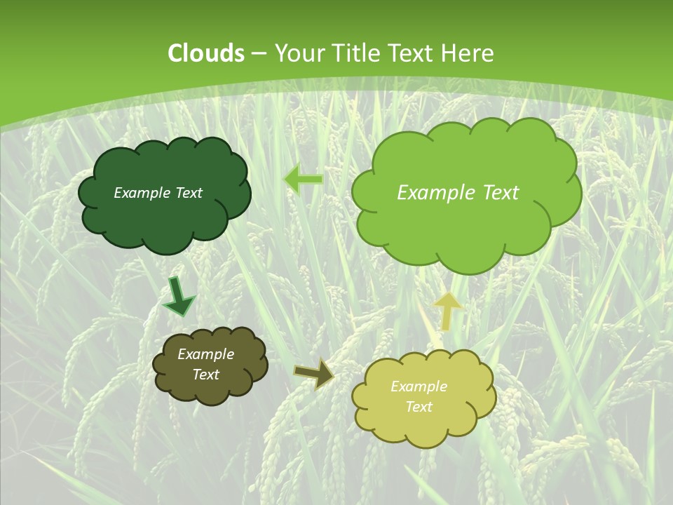 Leaf Primary Lush PowerPoint Template