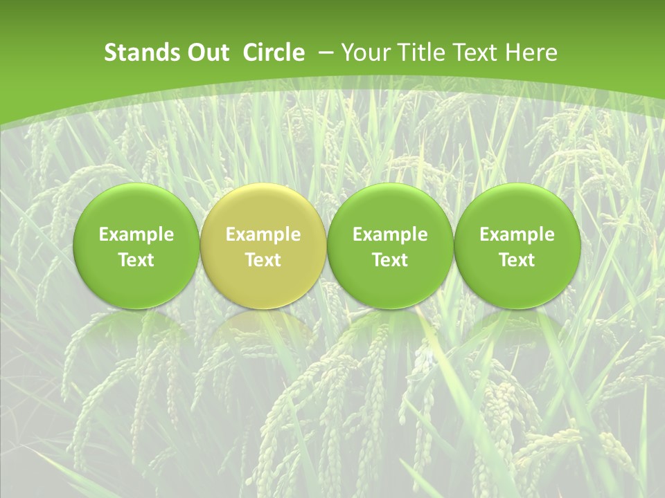 Leaf Primary Lush PowerPoint Template