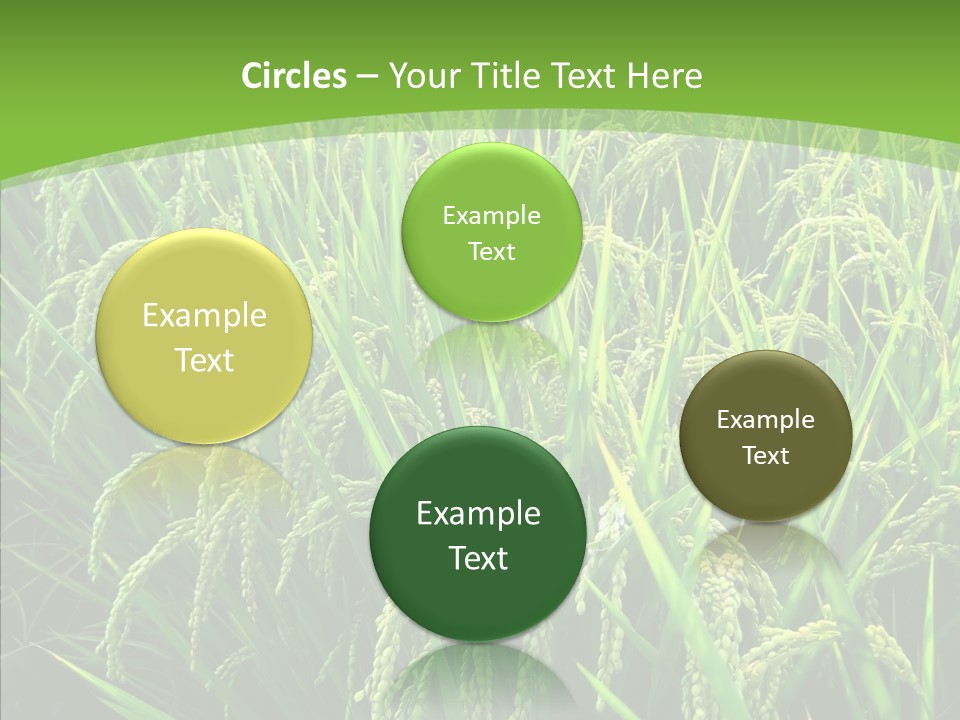 Leaf Primary Lush PowerPoint Template