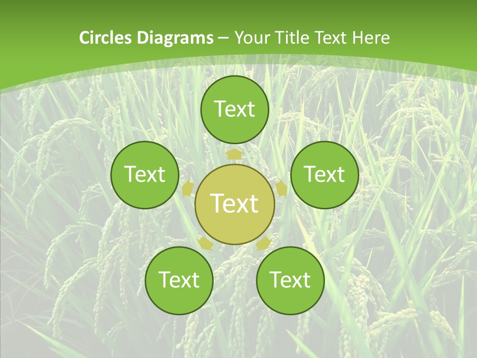 Leaf Primary Lush PowerPoint Template