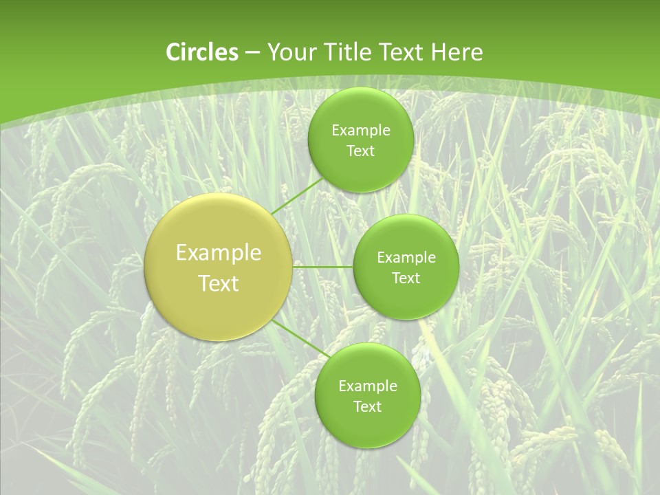 Leaf Primary Lush PowerPoint Template