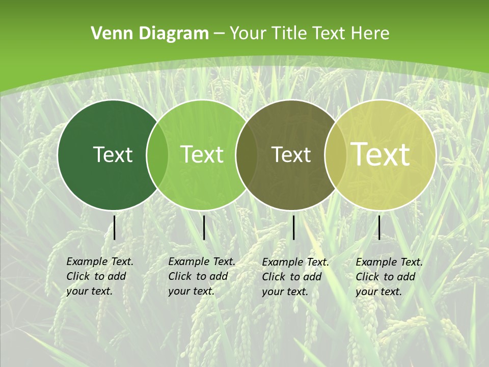 Leaf Primary Lush PowerPoint Template