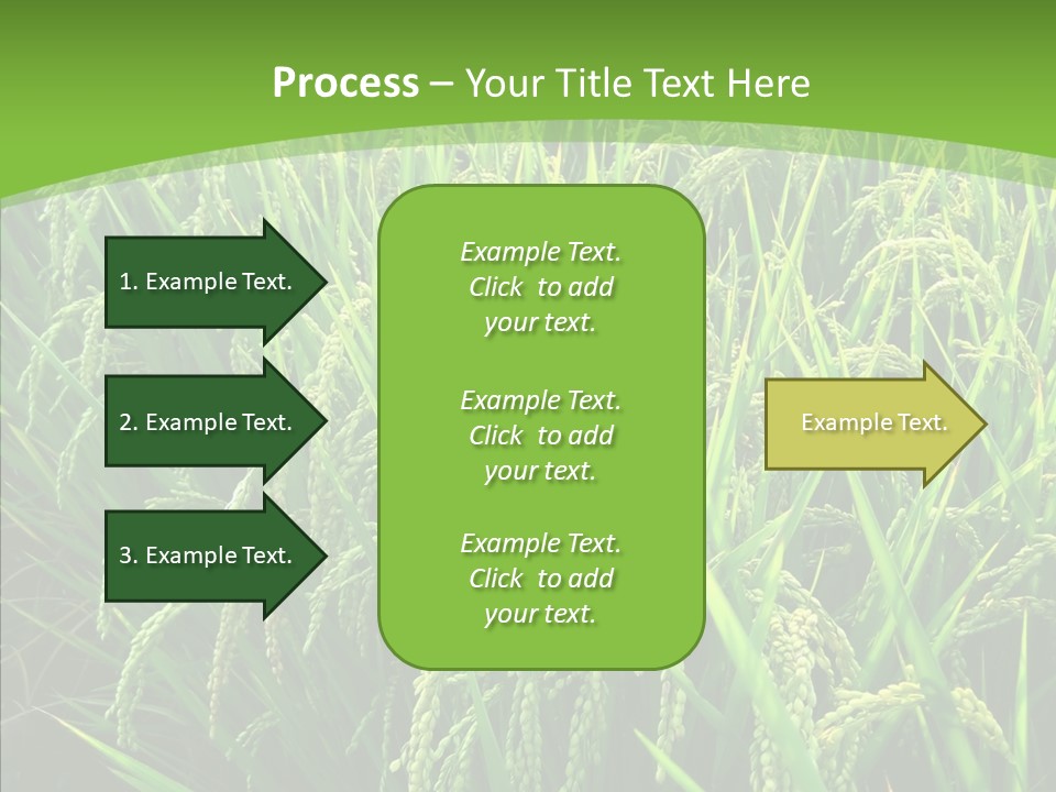 Leaf Primary Lush PowerPoint Template