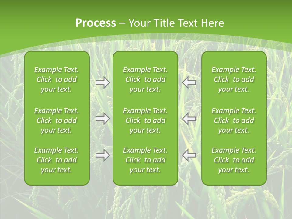 Leaf Primary Lush PowerPoint Template